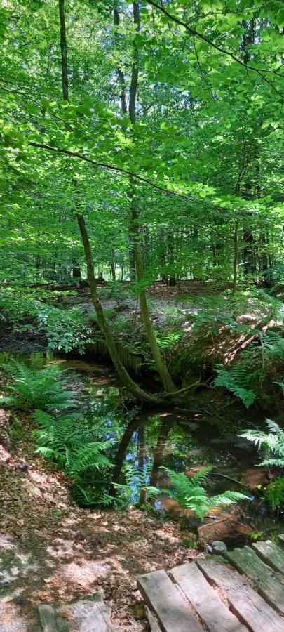 'T Hertje Ermelo Zewnętrze zdjęcie